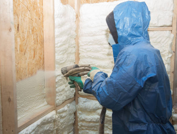 Professional Insulation Services in Diamond Springs, CA